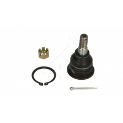 PRIMERA 02- /L+P// ELÜLSŐ/ ALSÓ CSAVAR 40160-2Y000