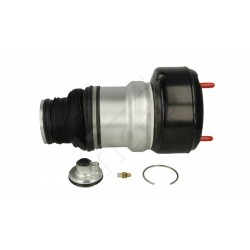 RUGÓSTAGOK /P/DB S OSZTÁLY 05-12 /L+P/ 2213204913