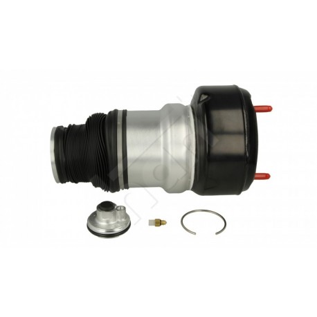 RUGÓSTAGOK /P/DB S OSZTÁLY 05-12 /L+P/ 2213204913