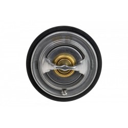 TERMOSZTÁT AUDI A8 07-, A6 AVANT, A6 AVANT 077121113C