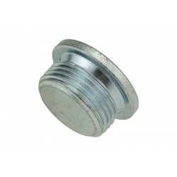 OLAJTEKNŐ DUGÓ CITROEN JUMPER, FIAT DUCATO, PEUGEOT BOXER / M22 X 1.5/ 0311.25