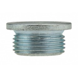 OLAJTEKNŐ DUGÓ CITROEN JUMPER, FIAT DUCATO, PEUGEOT BOXER / M22 X 1.5/ 0311.25