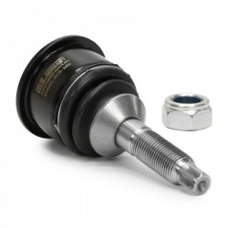 Csuklópánt JAGUAR S-Type (CCX) XR841215