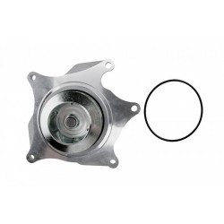 VÍZSZIVATTYÚ CADILLAC STS 4.4, 4.6 05-, SRX 4.4, 4.6 05-, XLR 4.4, 4.6 04-, XLR 4.4, 4.6 04- 12595614