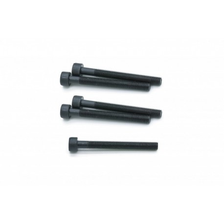 INJEKTOR RÖGZÍTŐ CSAVAROK KÉSZLETE (5 DB) VW 070103385A