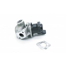 EGR SZELEP TÖMÍTÉSSEL PSA,FORD,FIAT,VOLVO,SUZUKI 161859