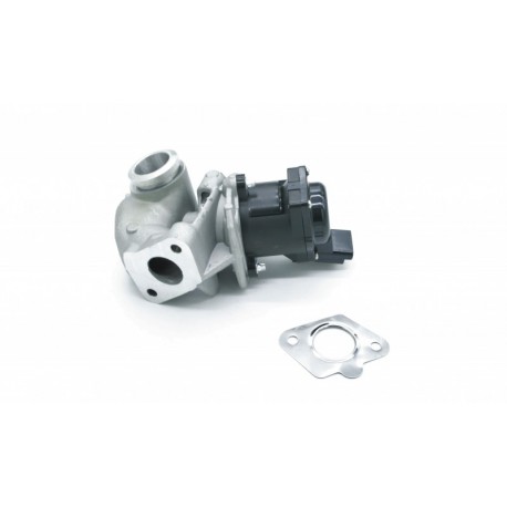 EGR SZELEP TÖMÍTÉSSEL PSA,FORD,FIAT,VOLVO,SUZUKI 161859