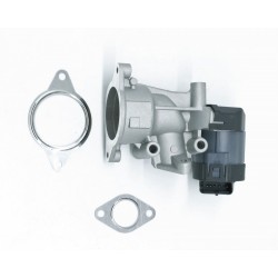 EGR SZELEP TÖMÍTÉSSEL PSA,FORD,FIAT,VOLVO,SUZUKI 1618GZ