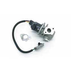 EGR SZELEP TÖMÍTÉSSEL FORD,VOLVO 1353152
