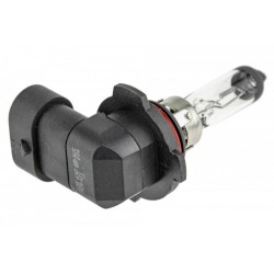 Izzó H10 12V 42W /PY20D/ H10