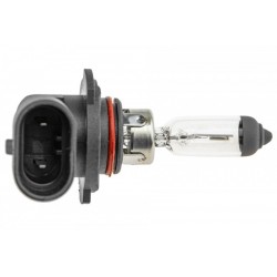 Izzó H10 12V 42W /PY20D/ H10