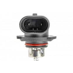 Izzó H10 12V 42W /PY20D/ H10