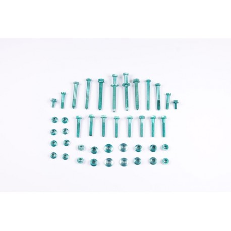 ELSŐ LENGŐKAR CSAVARSZETT AUDI A4 A6 PASSAT B5 BOLTSfor04SKV100