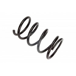 TOYOTA HÁTSÓ RUGÓ RAV4 II 00-05 4292614