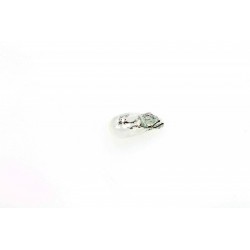 IZZÓ W3W 12V 3W (TELJESEN ÜVEG) KPL 10 DB 3821100000