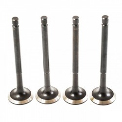 KIPUFOGÓSZELEPEK 2101 21011007012