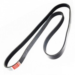 TÖBBSZÖRÖSEN BORDÁZOTT ÖV 1084993