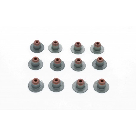 SZELEPTÖMÍTÉS KÉSZLET (12 DB) PEUGEOT, OPEL 1611289780