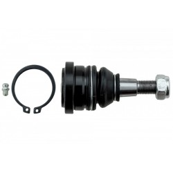 ELSŐ LENGŐKAR CSAVAR GALANT 06-, ECLIPSE 06- MN16170BJ