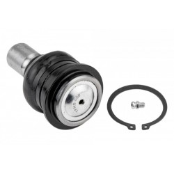 INFINITI QX56 HÁTSÓ ALSÓ VEZÉRLŐKAR CSAP 04- ZST-NS-000