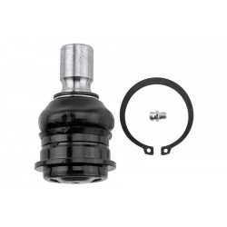 INFINITI QX56 HÁTSÓ ALSÓ VEZÉRLŐKAR CSAP 04- ZST-NS-000