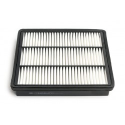 LÉGSZŰRŐ TERRACAN 3.5I 2.5TD 2.9CRDI 01.01- 06.10 C2542