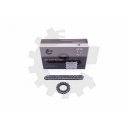 OLAJSZIVATTYÚ LÁNC KÉSZLET (2 EL.) NISSAN OPEL