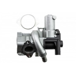 EGR.3.0D/5.0 SZELEP NISSAN NP300 NAVARA, PATHFINDER III INFINITI EX, FX, M, Q70, QX50 I, QX70 10.2008- 1471000Q0P