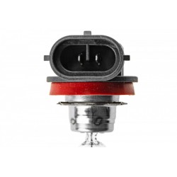 Izzó H8 12V 35W /PGJ19-1/ H8 12V 35W PG191