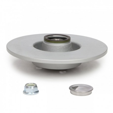 Hátsó féklap hátsó L/P csapágyazással RENAULT GRAND SCENIC II, MEGAN 77 01 207 898