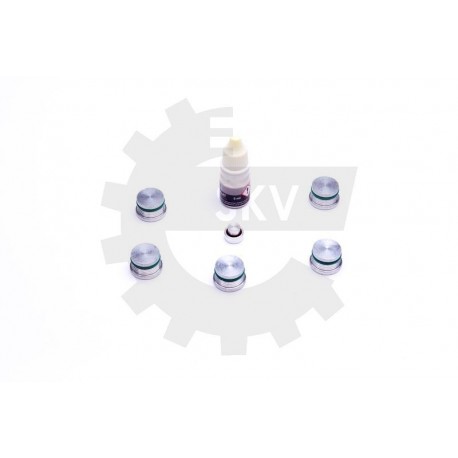 Javítókészlet, szívócső modul ALFA ROMEO 2.4 JTD MULTIJET FIAT 2.4 JTD MULTIJET LANCIA 2.4 JTD MULTIJET 0