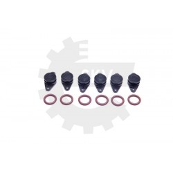 Javítókészlet, szívócső modul BMW M57 6X22MM 0