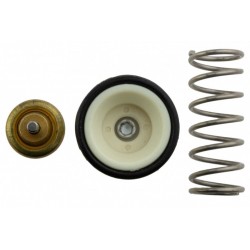 ENG TERMOSTAT. 1.4TSI VW GOLF V VI, SCIROCCO III, TIGUAN, TOURAN, BOGÁR, P 03C121110G