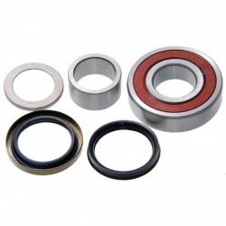 GOLYÓSCSAPÁGYAS HÁTSÓ FÉLTENGELY MEGHAJTÓ KÉSZLET NISSAN CALIFORNIA WINGROAD CY10 1990.10-1999.05 JP 43215-G8100