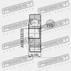 HÁTSÓ BELSŐ CSUKLÓ KIVONT TOB500330