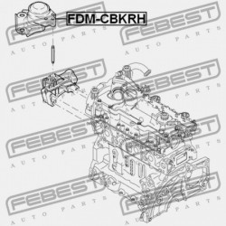 JOBB OLDALI MOTORPÁRNA (HIDRAULIKUS) FORD FIESTA/FUSION CBK 2001- EU 1207532