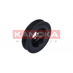 Szíjtárcsa, főtengely AUDI, SEAT, SKODA, VW 06F105243J