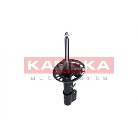 Lengéscsillapító ELSŐ RENAULT 543020017R