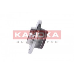 Kerékagy CITROEN C2 03-, C3 02- HÁTSÓ +ABS 374876