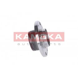 Kerékagy CITROEN C2 03-, C3 02- HÁTSÓ +ABS 374876