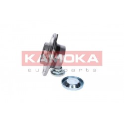 Kerékagy PEUGEOT 307 00- HÁTSÓ +ABS 374874