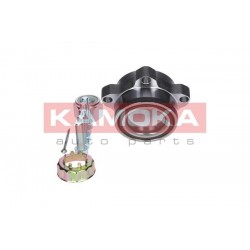 Kerékagy FORD TRANSIT 00-06 ELSŐ 4052783