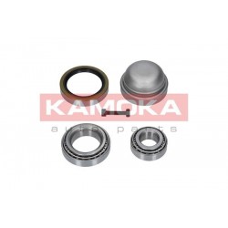 Kerékcsapágy készlet, MERCEDES P 2103300051