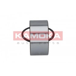 Kerékcsapágy készlet, FORD P 5024196