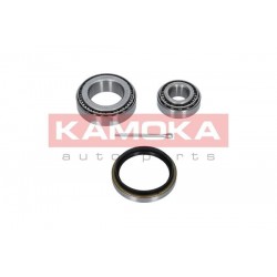 Kerékcsapágy készlet, FORD P 5025899