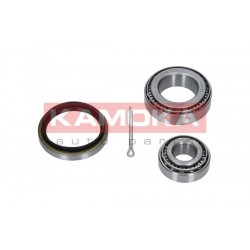 Kerékcsapágy készlet, FORD P 5025899