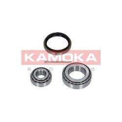 Kerékcsapágy készlet, FORD P 5025899