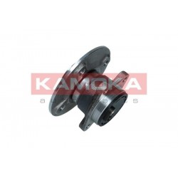 Kerékagy HÁTSÓ + ABS CITROEN C1 05- 424500H010