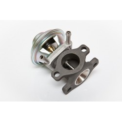 AGR-szelep FIAT DUCATO, 71793031, 504150396 504150396