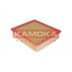 Légszűrő RENAULT MASTER 2,2DCI 2,5DCI 11/03 C29168